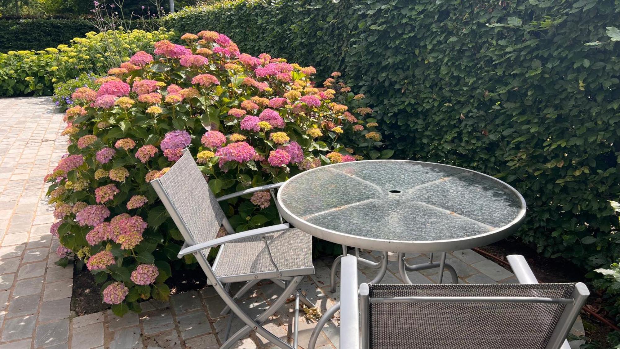 Ikigai Bed and Breakfast Oud-Turnhout Eksteriør billede
